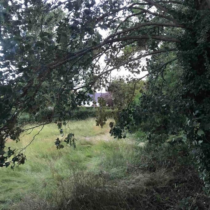 Priory Meadow Cottage Long Bennington Esterno foto